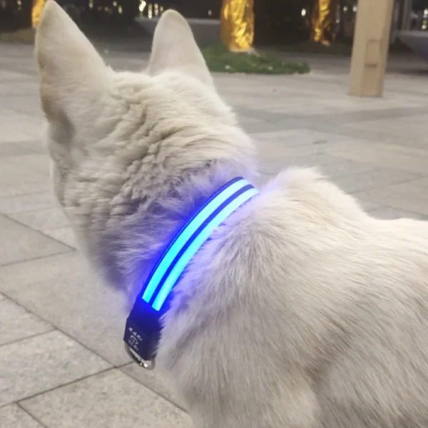 Type-C Usb Luminous Led Dog Collar Usb Rechargeable Led Light Up Dog Pet Collar